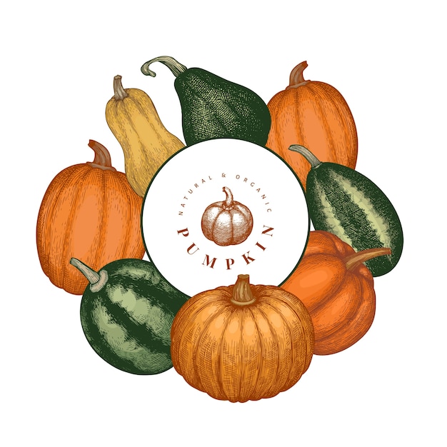 Illustrazioni disegnate a mano di colore della zucca. sfondo del ringraziamento in stile retrò con la raccolta della zucca. sfondo autunno.