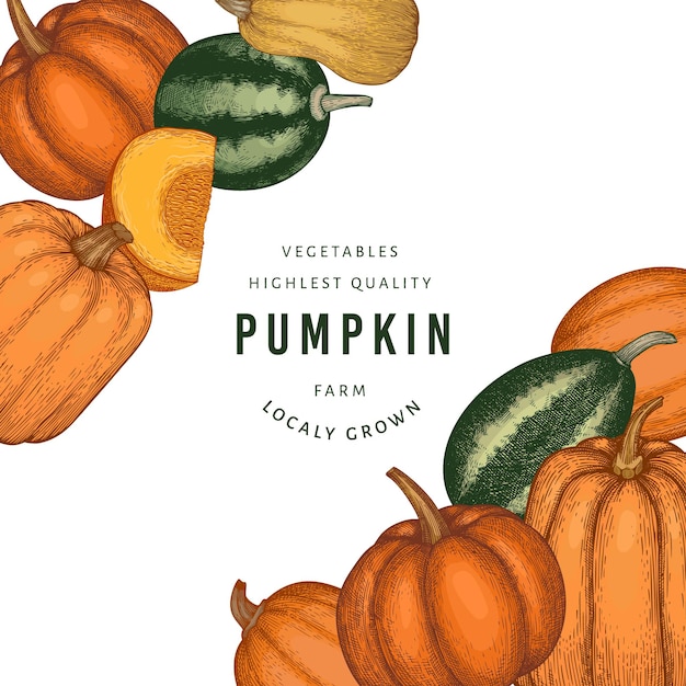 Vector pumpkin color  template.  hand drawn illustrations. thanksgiving backdrop in retro style with pumpkin harvest. autumn background.