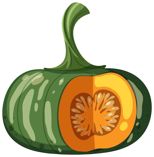 Vector pumpkin cut vector on white background