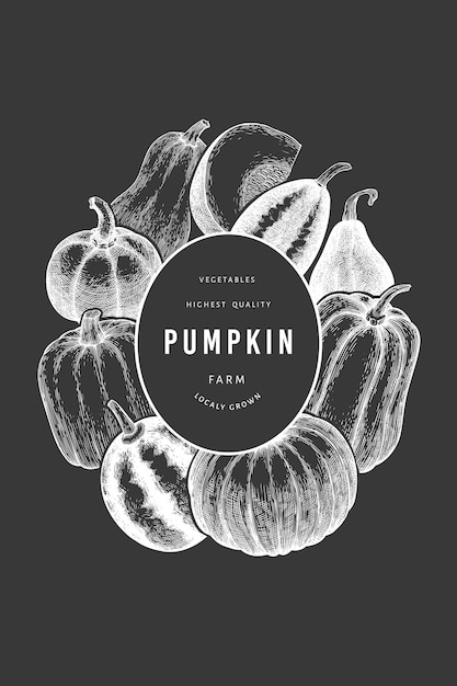 Pumpkin design template. Vector hand drawn illustrations on chalk board. Thanksgiving backdrop in retro style with pumpkin harvest. Autumn background.