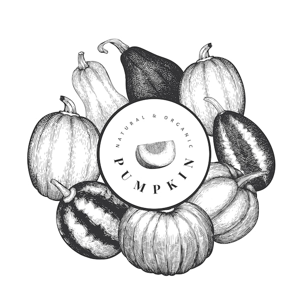 호박 디자인 템플릿입니다. 벡터 손으로 그린 그림. 호박 수확 빈티지 스타일의 추수 감사절 배경. 가을 배경.