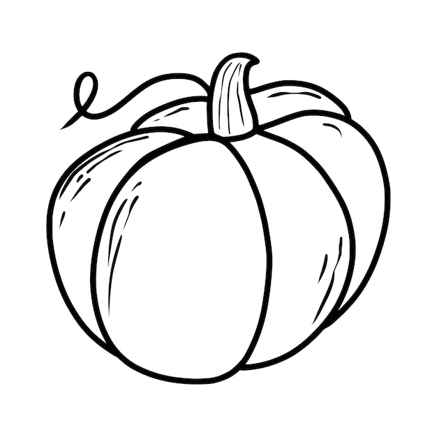 Vector pumpkin doodle hand drawing vector illustration in modern style festive pumpkin autumn vegetable