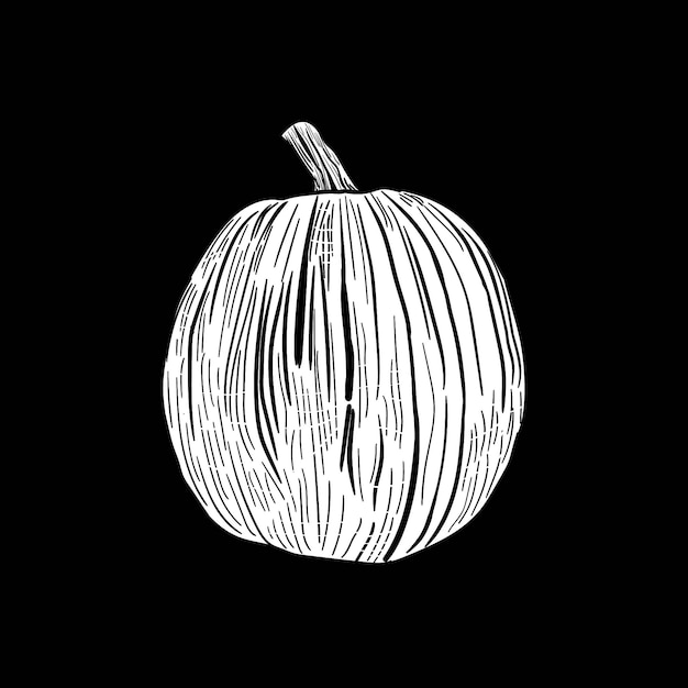 pumpkin draw engraving