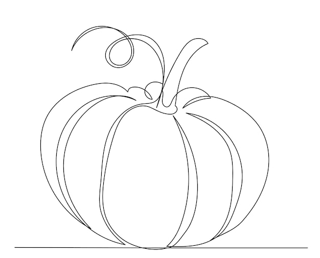 Pumpkin drawing one continuous line vector