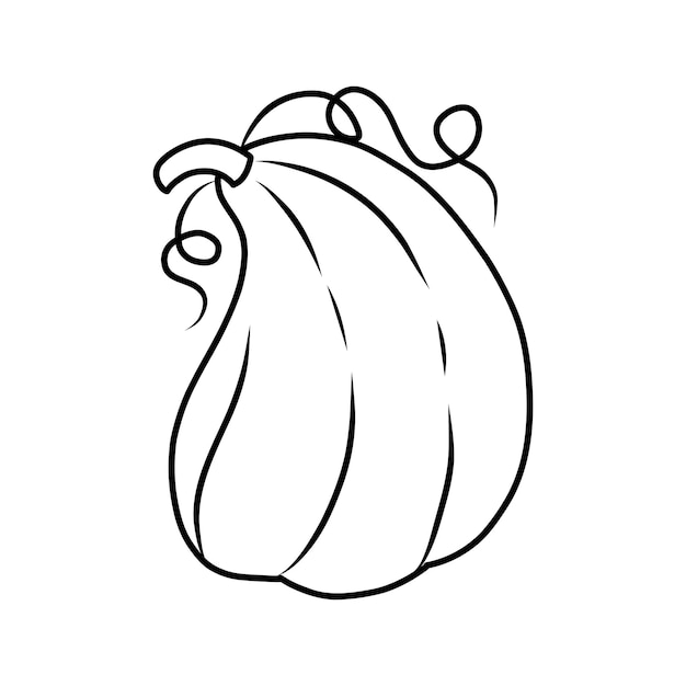 Disegno di zucca adatto per libro da colorare contorno zucche schizzo zucche diversi tipi forme e dimensioni illustrazione vettoriale isolato per il giorno del ringraziamento di halloween