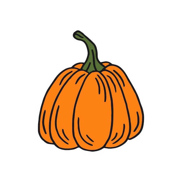 Pumpkin Flat color icon Thanksgiving design Autumn pumpkin