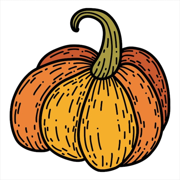 Zucca in stile doodle disegnato a mano. illustrazione vettoriale di autunno lineare