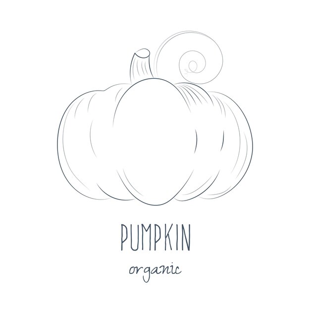 Pumpkin_handdrawn_sign