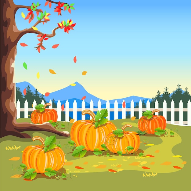 Vector pumpkin harvest