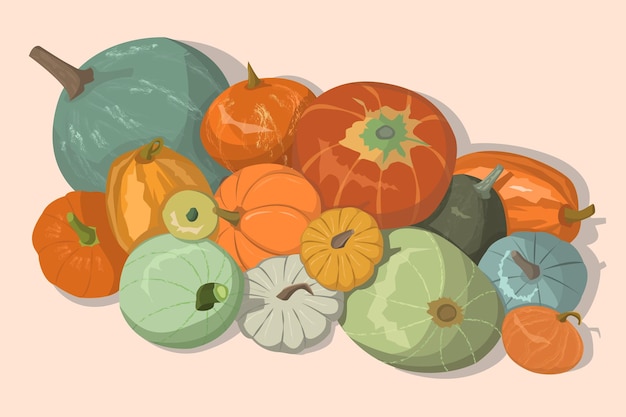 Vector pumpkin harvest