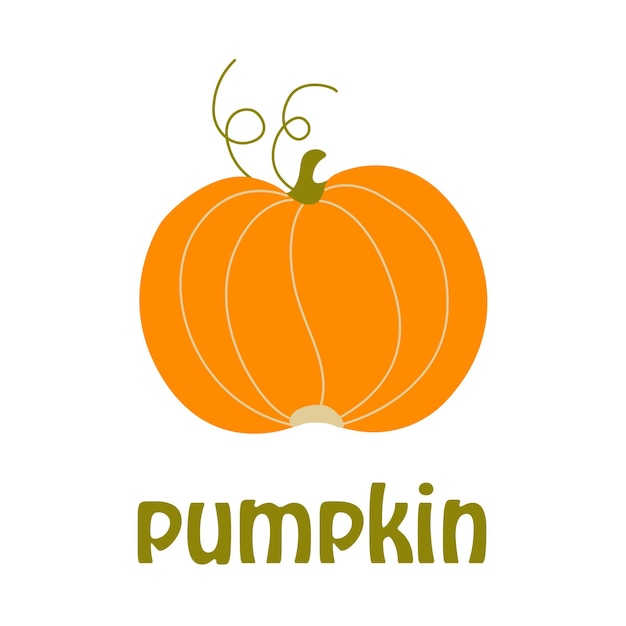 Pumpkin icon, autumn harvest vegetables.