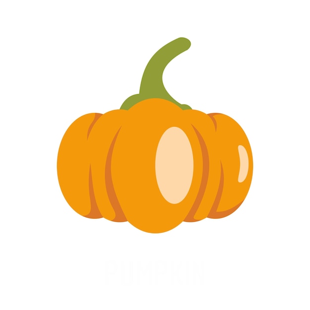 Pumpkin icon Flat illustration of pumpkin vector icon isolated on white background