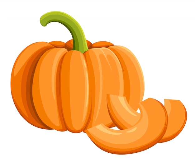 Pumpkin icon, harvest thanksgiving  illustration  on white.   style. fresh cartoon different vegetable web site page and mobile app design