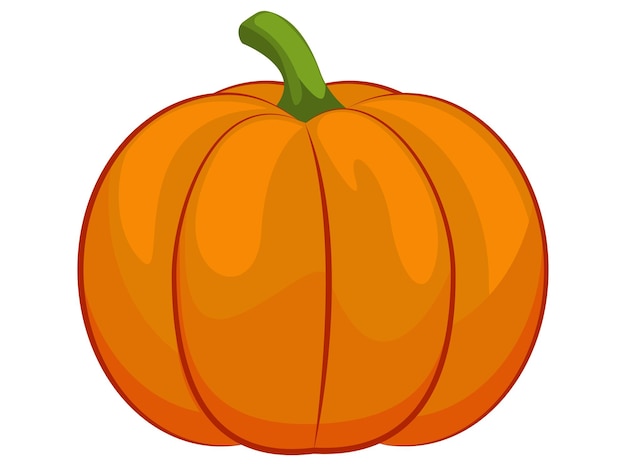 Pumpkin Illustration