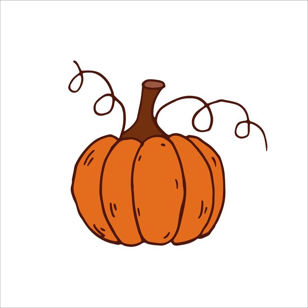Pumpkin isolated Autumn harvest thanksgiving halloween Orange brown Vector illustration