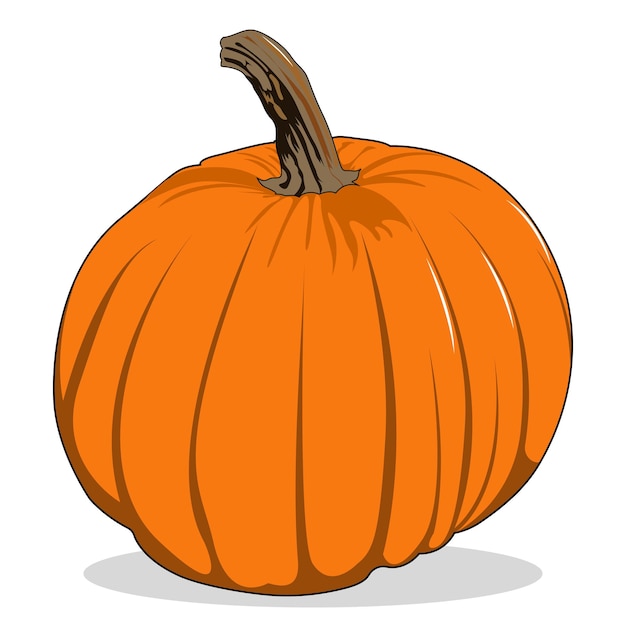 Vector pumpkin isolated on a white background cartoon style vector illustration
