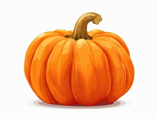 Vector pumpkin isolated on white background