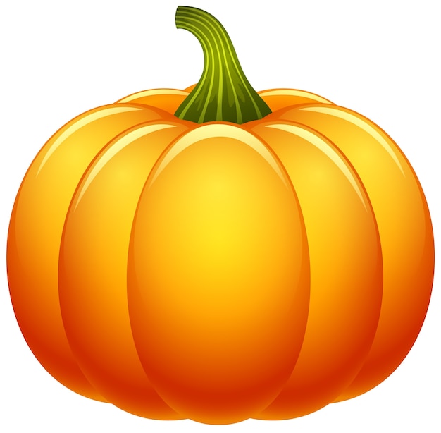 Vector pumpkin isolated on white background