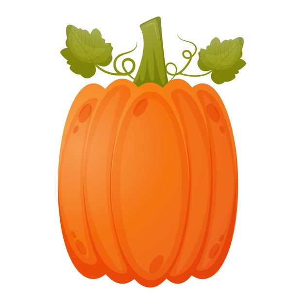 Pumpkin isolated on a white background