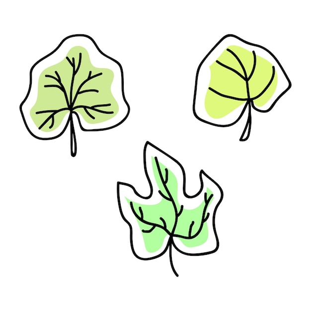 Pumpkin leaves in doodle style