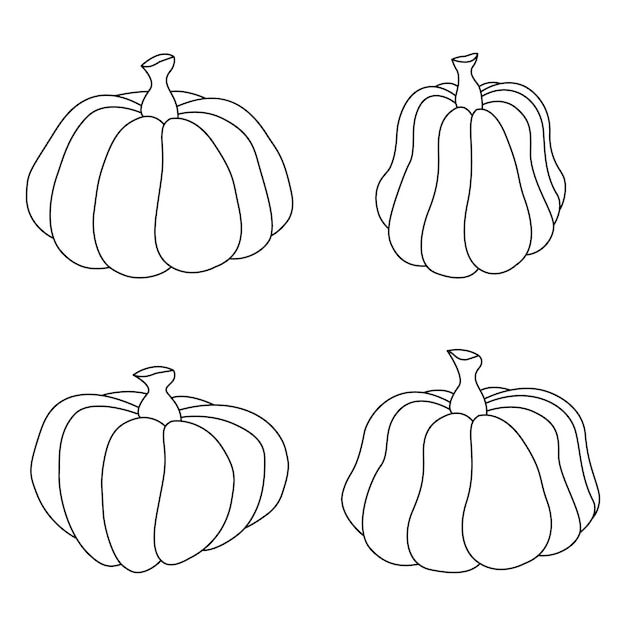 Premium Vector | Pumpkin line art vector illustration design