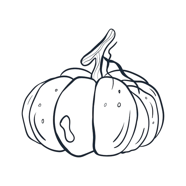 Pumpkin line art Vector illustration with doodles on the theme of cozy autumn