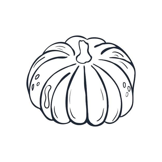 Pumpkin line art Vector illustration with doodles on the theme of cozy autumnA cute element for greeting cards posters stickers and seasonal design Isolated on a white background