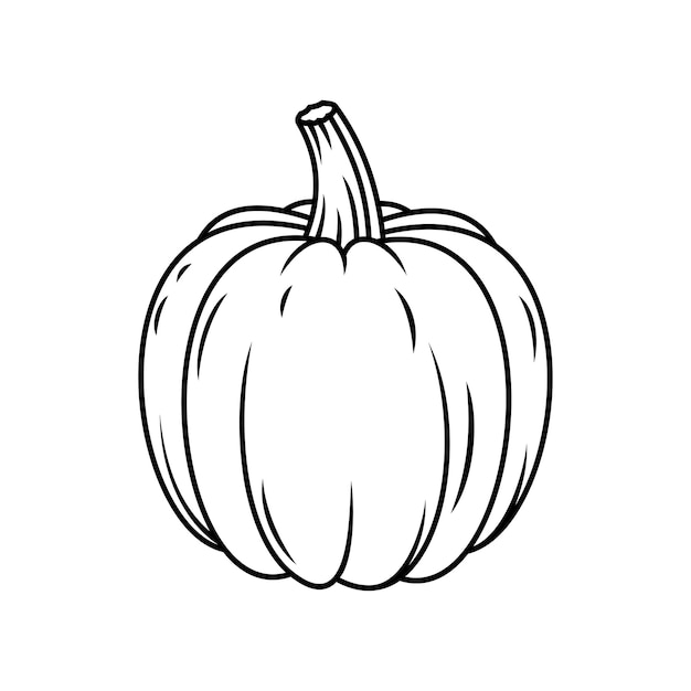 Pumpkin line icon vegetable food and farm veggie