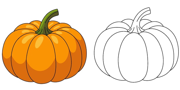 Vector pumpkin outline vector illustration coloring page for kids