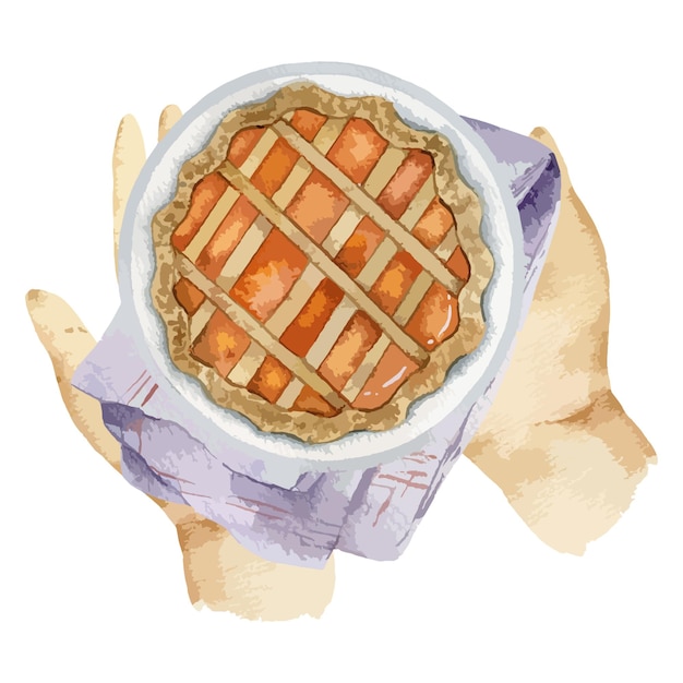 Vector pumpkin pie hand drawn watercolor illustration, happy thanksgiving, traditional holiday cake