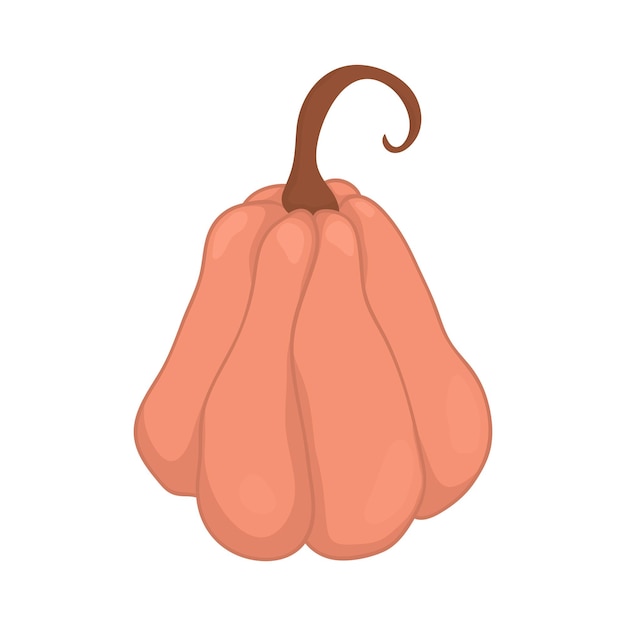 La zucca rosa oblunga è disegnata nello stile del cartone animato zucca rotonda per l'icona o l'adesivo della festa del raccolto