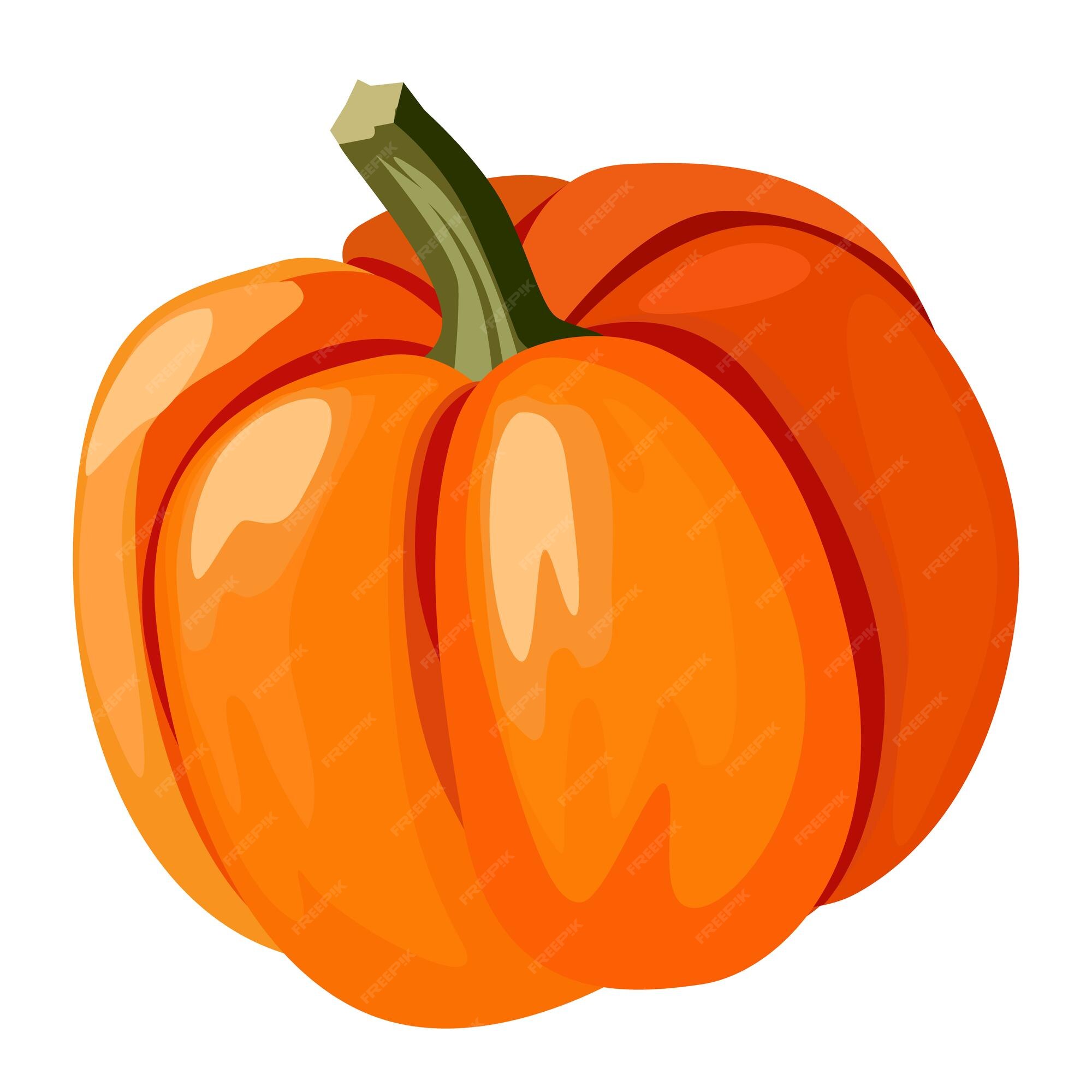 Premium Vector | Pumpkin plant. isolated illustration. Premium Vector | Pumpkin plant. isolated illustration.