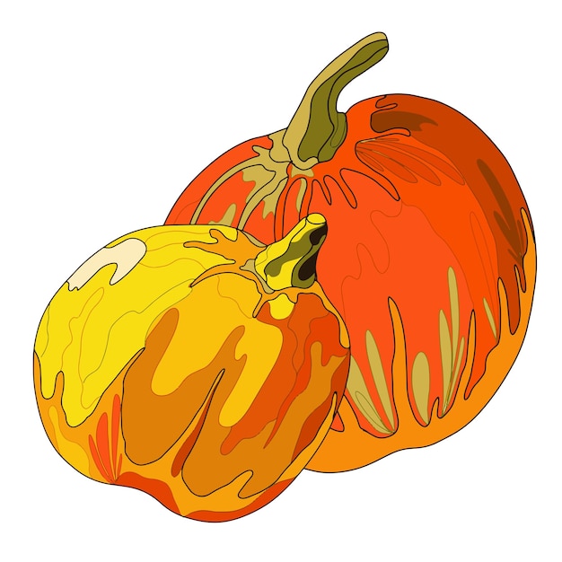 Vector pumpkin plants illustration in doodle style