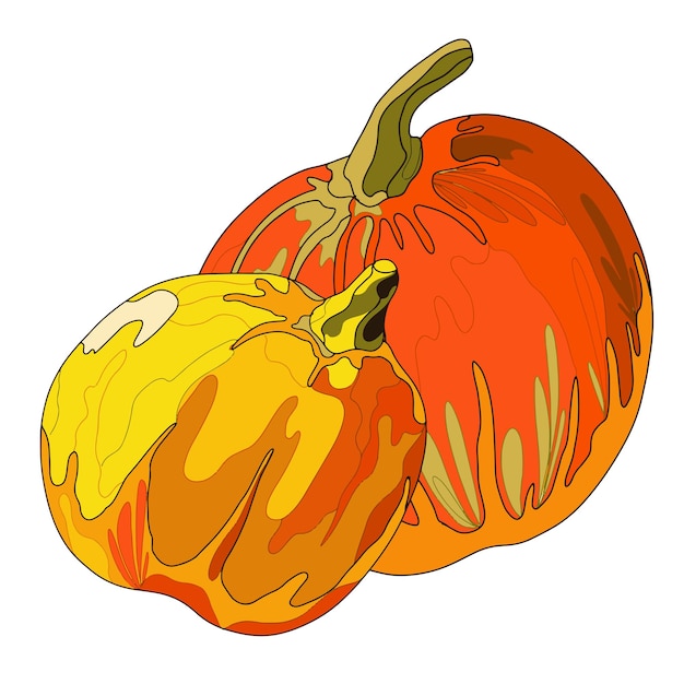 Illustrazione di piante di zucca in stile doodle