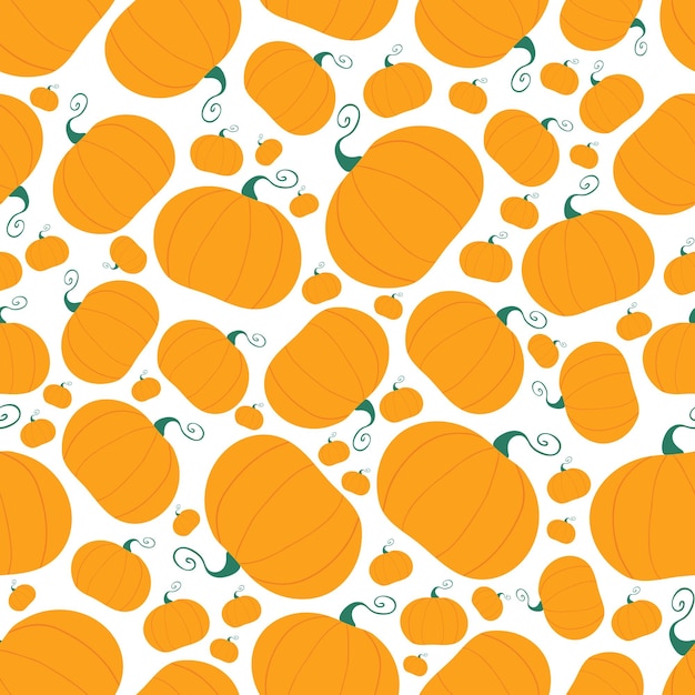 Pumpkin seamless pattern Harvest concept Isolated on white background Vector stock illustration