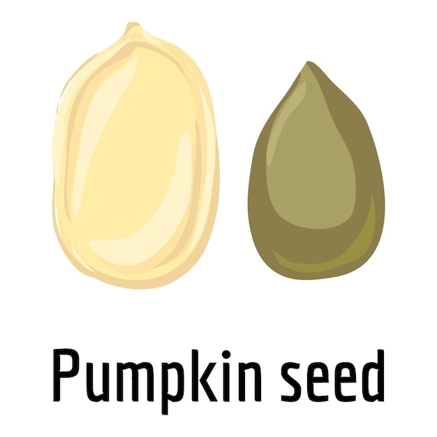 Vector pumpkin seed icon cartoon of pumpkin seed vector icon for web design isolated on white background