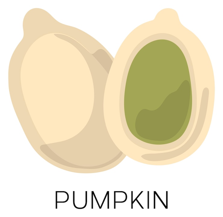 Vector pumpkin seed icon healthy raw vegan food