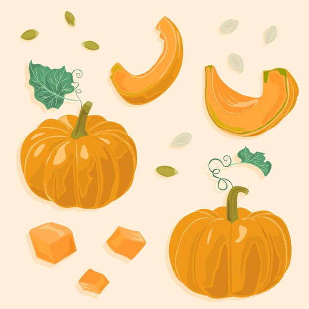 Vettore semi di zucca, sbucciati o senza buccia