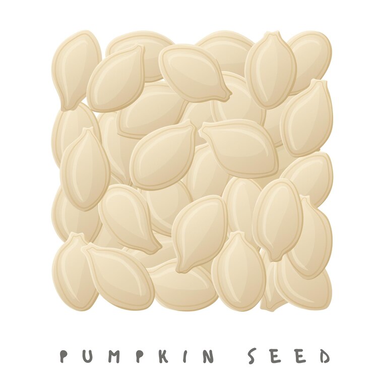 Vector pumpkin seeds square icon cartoon style vector illustration isolated on white