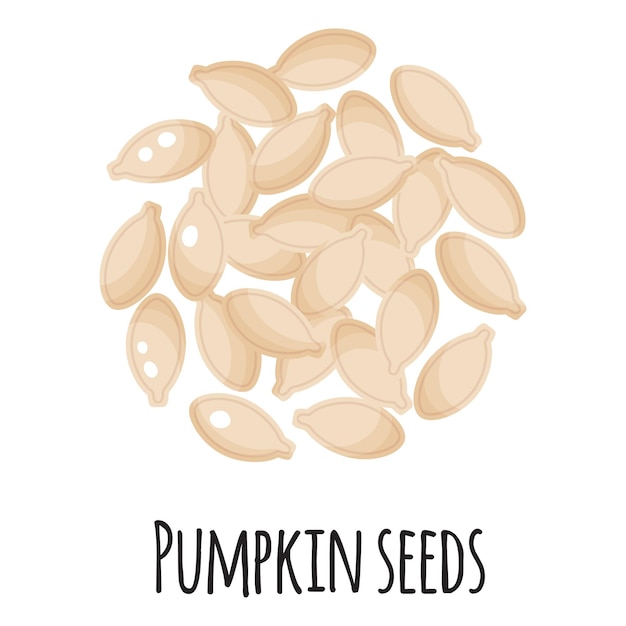 Pumpkin seeds for template farmer market design, label and packing. Natural energy protein organic super food.