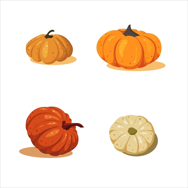 Set di zucca