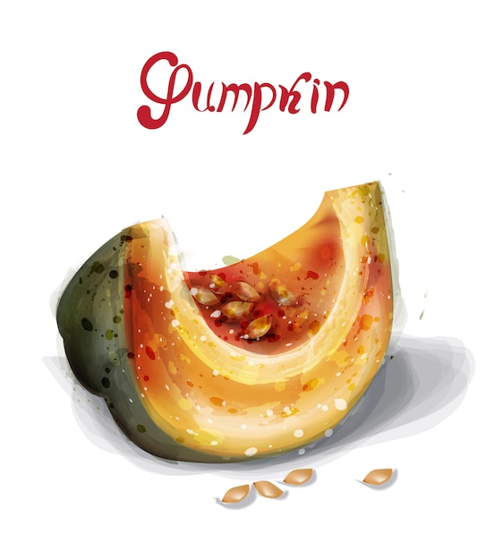 Pumpkin slice in watercolor