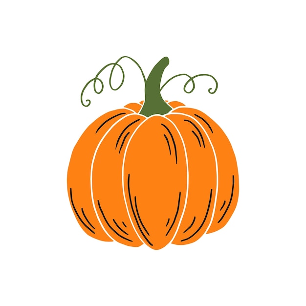 Pumpkin Thanksgiving and Halloween Elements Hand drawn vector illustration