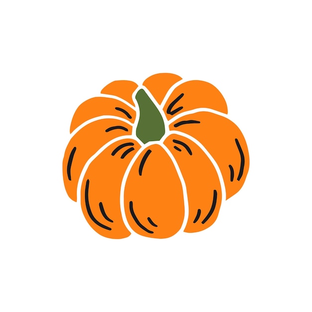 Pumpkin Thanksgiving and Halloween Elements Hand drawn vector illustration