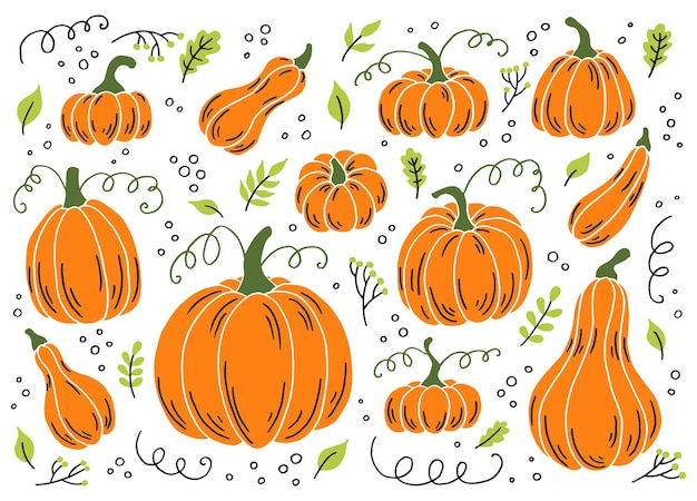 Zucca di varie forme elementi di ringraziamento e halloween illustrazione vettoriale disegnata a mano