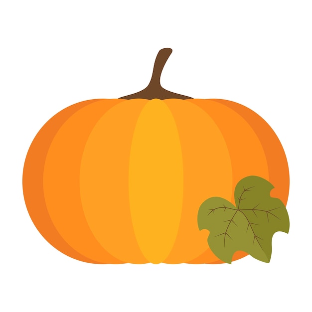 Pumpkin Vector for Autumn Event