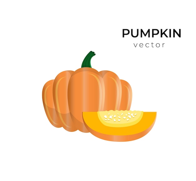 Pumpkin vector design