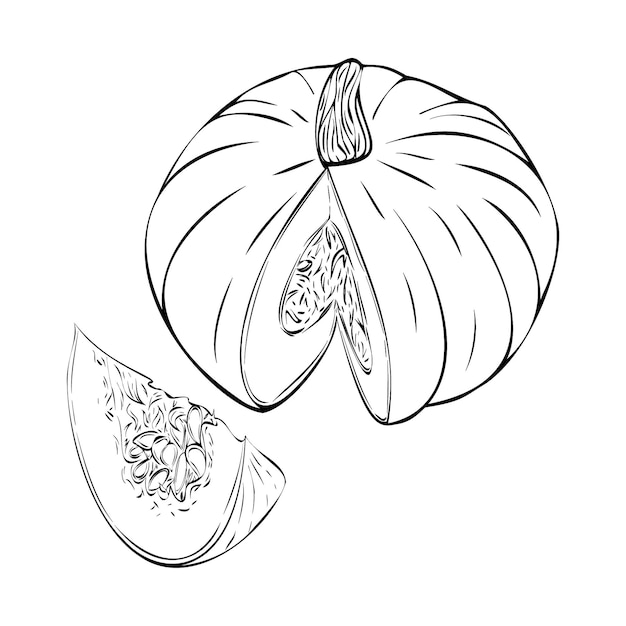 Zucca. illustrazione vettoriale di verdure. logo alimentare. icona di zucca. elementi per l'autunno decorativo