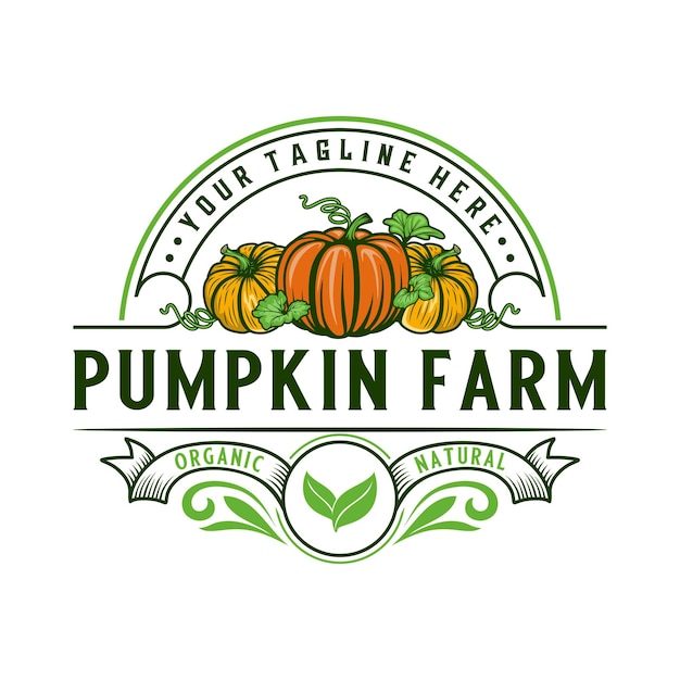 векторный дизайн логотипа тыквы. иллюстрация фруктов тыквы, идеальный органический овощ для тыквенной фермы
