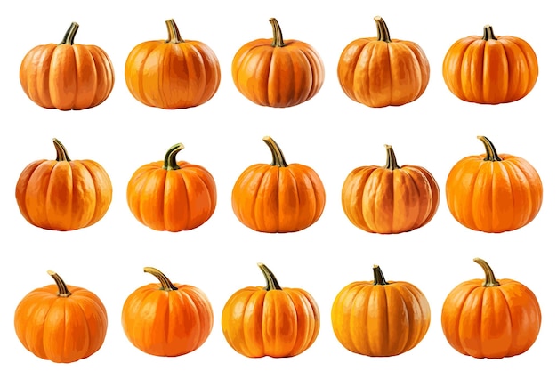 Pumpkin vector set isolated on white background